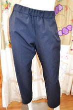 Load image into Gallery viewer, Berserk Cotton Slider pant in Royal stripe