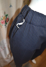 Load image into Gallery viewer, Berserk Cotton Slider pant in Royal stripe